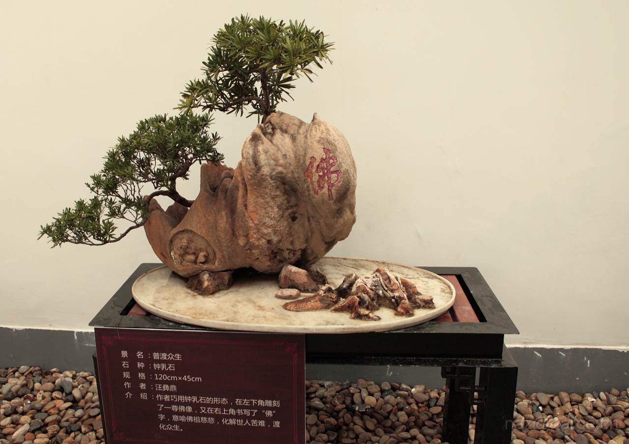 EOS 5D Mark II16_04_20135109.JPG